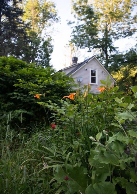 Modern Cottage One Shandaken Exterior photo